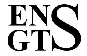 Elearn ENSGTS